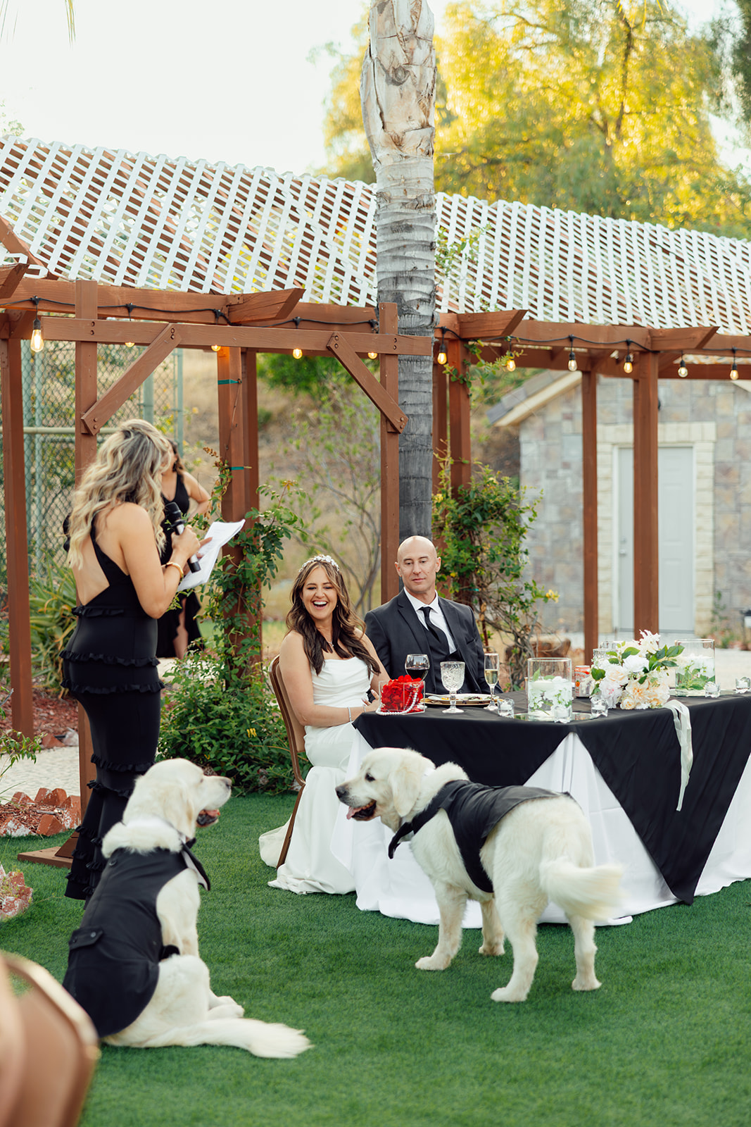 Lisa & Daniel wedding — highlights, photo 48